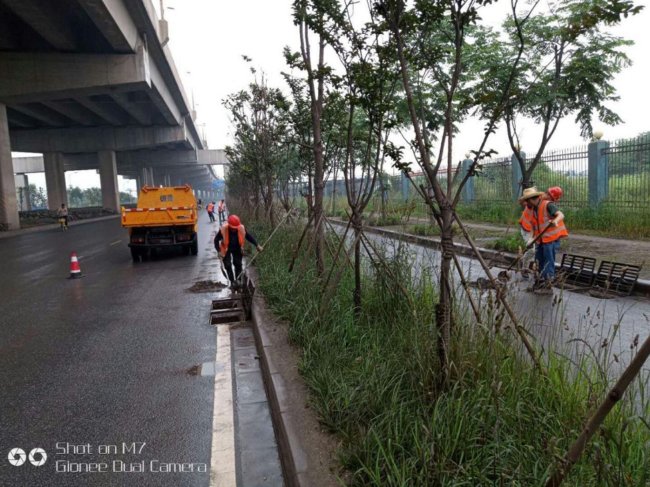 1550114350100285.jpg 图片1.jpg