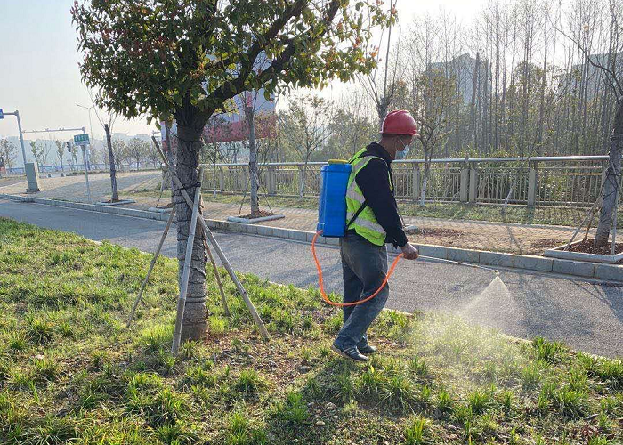 1585722188348222.png FFF4196545C4D62F27CF686256BC6657.png