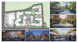 1634538762696777.jpg 3.jpg